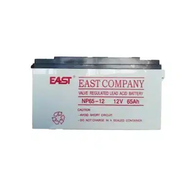 EAST NP65-12 12V/65Ah UPS battery