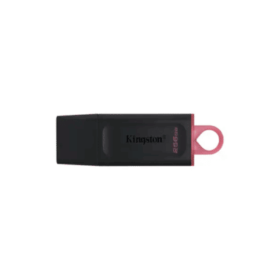 Kingston 256GB DataTraveler Exodia (DTX/256GB)