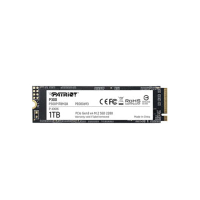 M2 SSD - Patriot P300 1TB