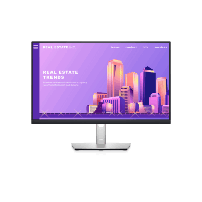 Monitor DELL P2422H 23.8" 1920 x 1080 60Hz 5MS
