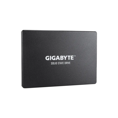 Gigabyte GP-GSTFS31100TNTD 1TB